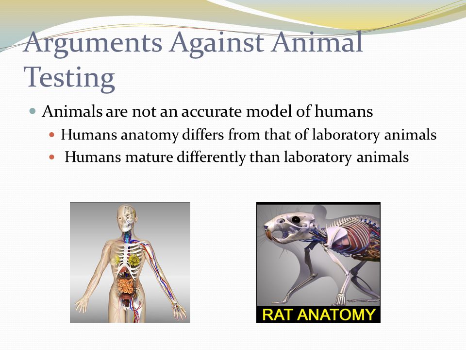 An argument against animal experimentation in america